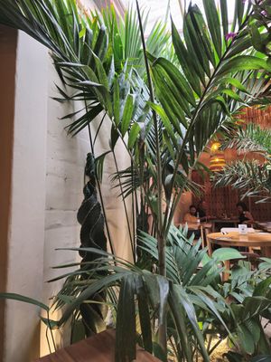  at KAIME in Medellin