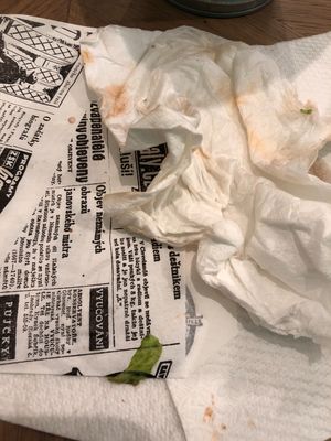 All that was left of the Blondies Burger! at Blondie's Burger Perlova in Plzen