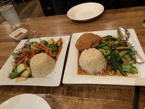 Our two entrees at Green Elephant Vegetarian Bistro in Portland