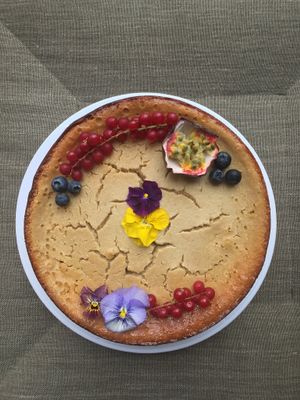 Vegan classic VNY Cheesecake (without cheese! ?) at Willem-Pie Bakery in Amsterdam