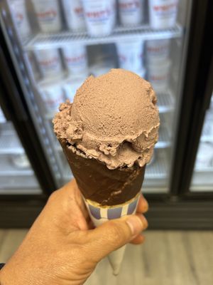 Blackberry custard   at Whit's Frozen Custard in Columbus