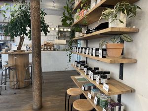 Interior   at Wild & The Moon - Amelot in Paris