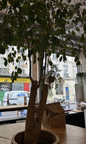 Tree growing through the table: cute!  at Wild & The Moon - Amelot in Paris