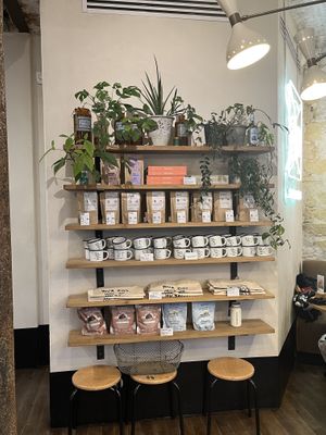   at Wild & The Moon - Amelot in Paris