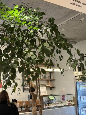   at Wild & The Moon - Amelot in Paris