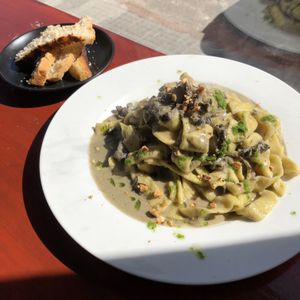Pasta with mushroom sauce at Bateleur in Montevideo