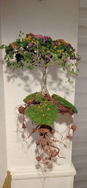 Nice following bonsai tree at Sabores de Sandra in Mallorca