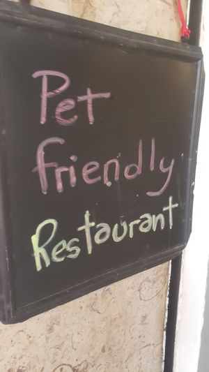 Great food and welcoming to doggos. at Sabores de Sandra in Mallorca