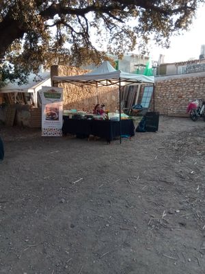 Sandra is that friend that makes you feel home at Sabores de Sandra in Mallorca