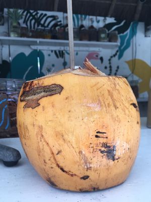 Fresh coconut water ready to drink with an agave straw.  at Matcha Mama - Zona Hotelera in Tulum
