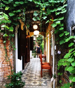 old mansion in the huge garden at Minh Hien 3 in Hoi An