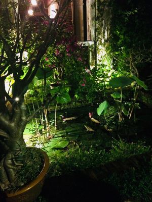 Pond at Minh Hien 3 in Hoi An