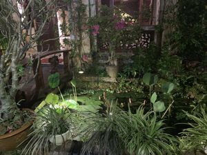 Lovely setting  at Minh Hien 3 in Hoi An