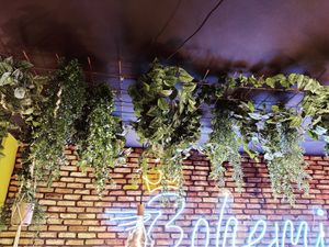 Bohemian Burgers at Bohemian Burgers in Bruges