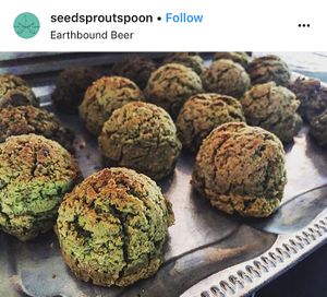 Baked falafel bites at Seed Sprout Spoon in St Louis
