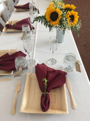 Compostable plates made from fallen palm tree leaves  at Seed Sprout Spoon in St Louis