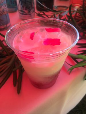 Rose Italian soda  at Seed Sprout Spoon in St Louis