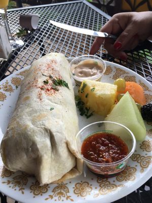 Sunday brunch breakfeast burrito at Seed Sprout Spoon in St Louis