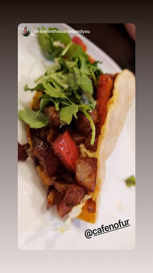 Voted #1 vegan taco in vegas  at Cafe No Fur - Cloud Kitchen in Las Vegas