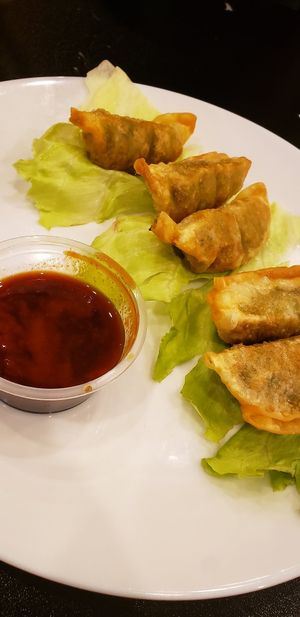 Gyoza at Cafe No Fur - Cloud Kitchen in Las Vegas