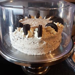 Vegan cake (from their social media)  at Mocha Lounge in Coventry