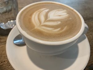 Good coffee   at Slowpoke Espresso in Fitzroy