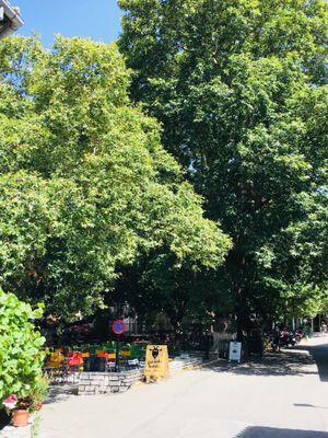 Pardalo Katsiki  at To Pardalo Katsiki  in Lefkada