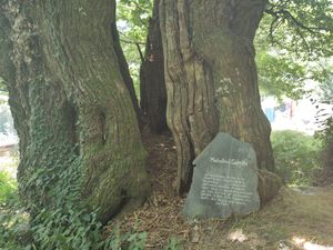  at Albergue Ecologico El Beso in Lugo