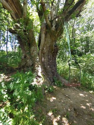  at Albergue Ecologico El Beso in Lugo