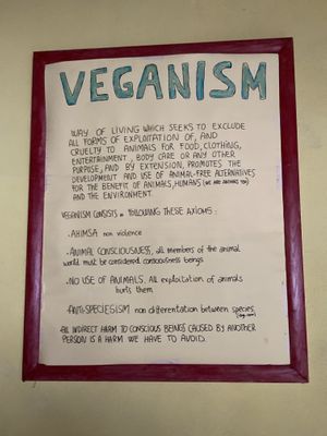   at Albergue Ecologico El Beso in Lugo