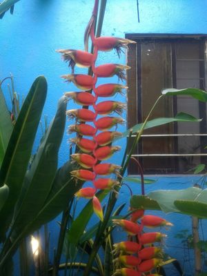 💜 at El Eden in Cuernavaca