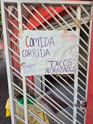  at El Eden in Cuernavaca