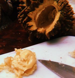 Durian fruit! Fun to try but never again lol! So gross!! at Fresh World in Manassas