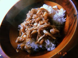 "Pulled pork" made from canned jackfruit  at Fresh World in Manassas
