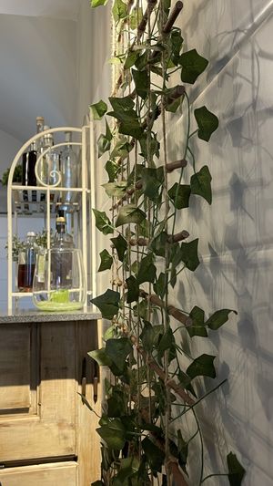 Locale at La Pepiniere in Florence