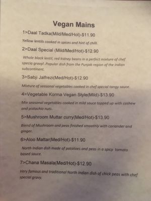 Some of the vegan mains at Exotic Indian Curries in Summer Hill