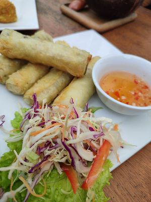 Fried spring rolls at Casa Bonita in Cat Ba