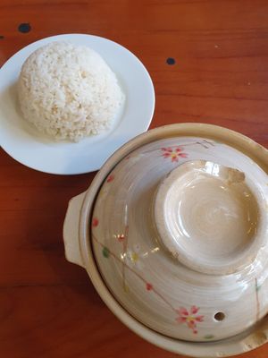 Tofu in tomato souce served with rice at Casa Bonita in Cat Ba