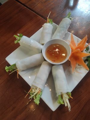 Amazing fresh spring rolls at Casa Bonita in Cat Ba