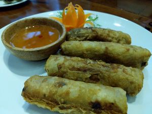 Fried veggie spring rolls with mushroom filling at Casa Bonita in Cat Ba