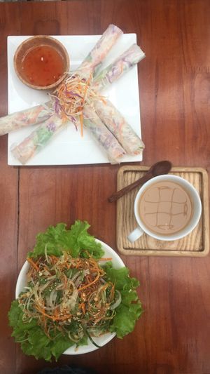 Fresh spring rolls, cinnamon/ginger tea, banana flower salad with sesame and peanuts for 130K at Casa Bonita in Cat Ba