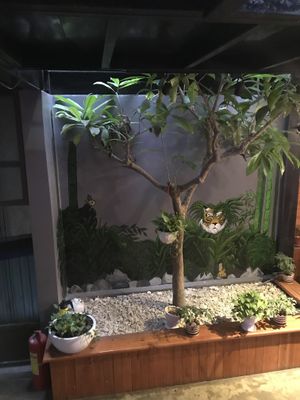 Beautiful place at Casa Bonita in Cat Ba