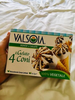 Vegan ice cream  at Deco Gourmet in Cefalu