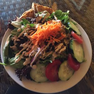 awesome falafel salad at Twisted Branch Tea Bazaar in Charlottesville