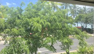 View from our table of the beach 🏖️   at Oahu Mexican Grill in Honolulu