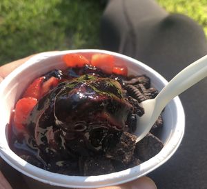 Small chocolate frozen yogurt with strawberries, raspberry sauce and Oreos at Kurt in Innsbruck