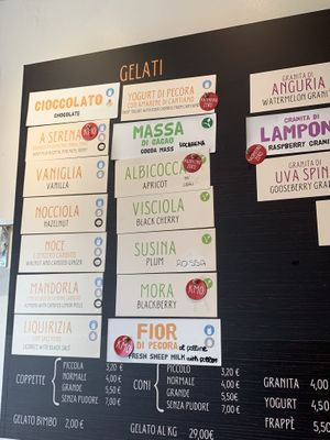 Ice cream list, vegan ones clearly marked in green  at Gelateria De Coltelli in Pisa
