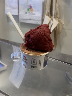Black cherry and cocoa mass   at Gelateria De Coltelli in Pisa