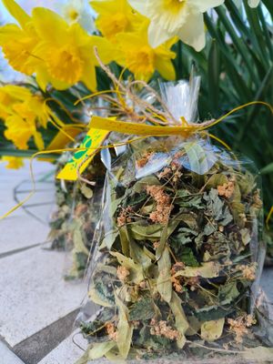  at Casa Payer in Luserna San Giovanni