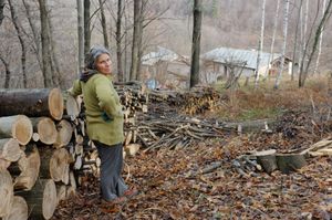 Our life in the woods is a journey into the wild. at Casa Payer in Luserna San Giovanni